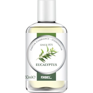 Parfum d'ambiance eucalyptus 30 ml