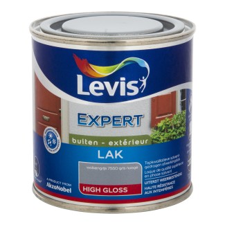 Levis expert laque exterieur  brilliant