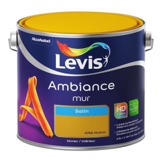 Levis ambiance mur satin