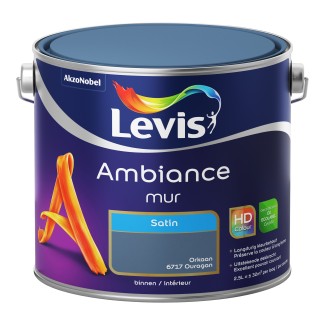 Levis ambiance mur satin