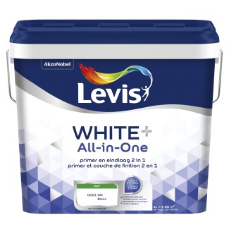 Levis white + renovation white 5l blanc