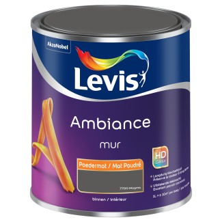 Levis ambiance  effet craie