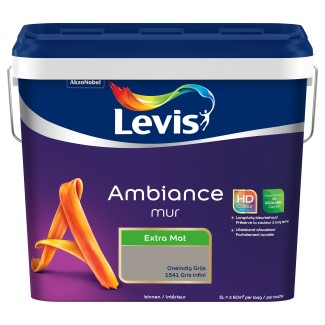 Levis ambiance mur satin