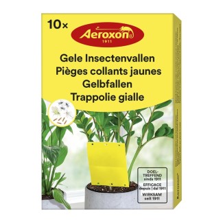 Aeroxon pièges collants plantes