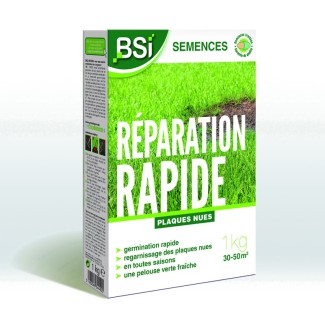Semences gazon regarnissage 1?kg
