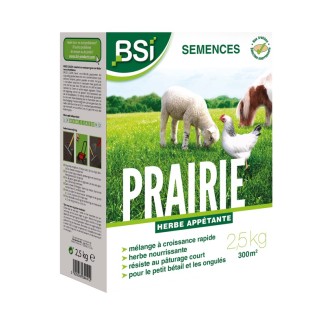 Semences gazon prairie 2,5?kg