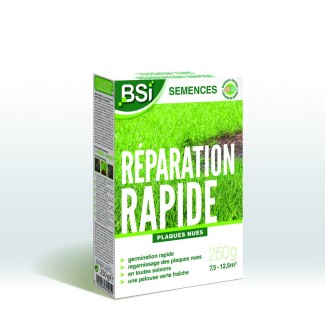 Semences gazon réparation 250?g