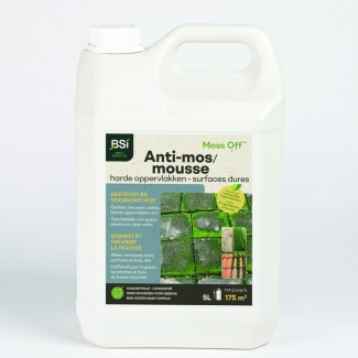 Moss Off surfaces pavées