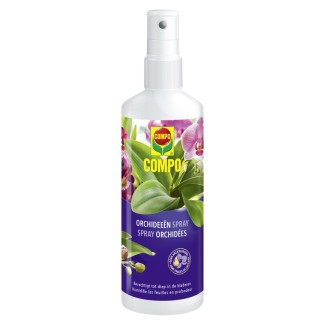 Spray orchidée 250 ml